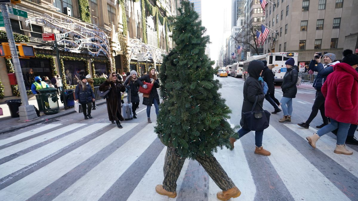 New York City's Mister Christmas Tree makes his yearly appearance ...