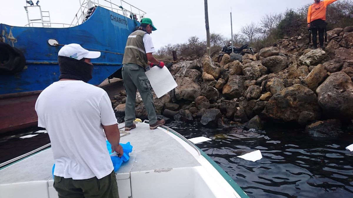 Galapagos Islands Oil Spill: Ecuador Emergency Teams Respond 