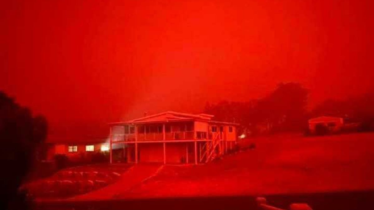 Australia Fires Thousands Take Refuge On A Beach In