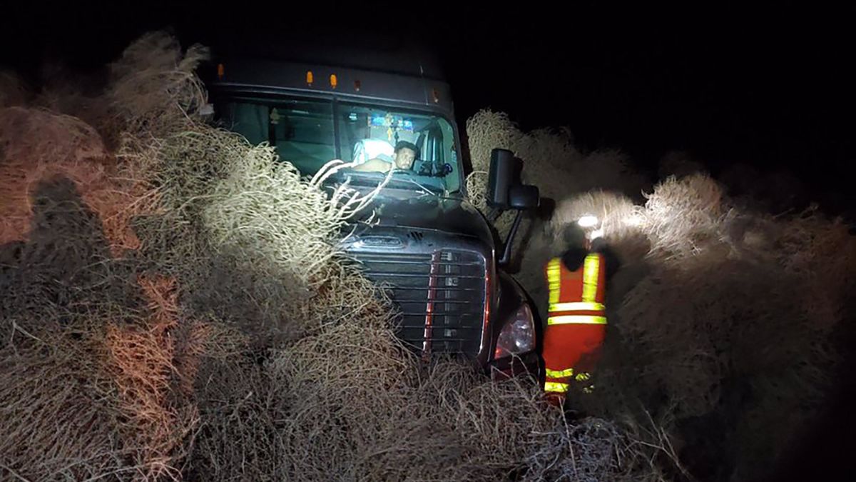 Tumbleweeds cover Wolfforth neighborhood, streets in west Texas