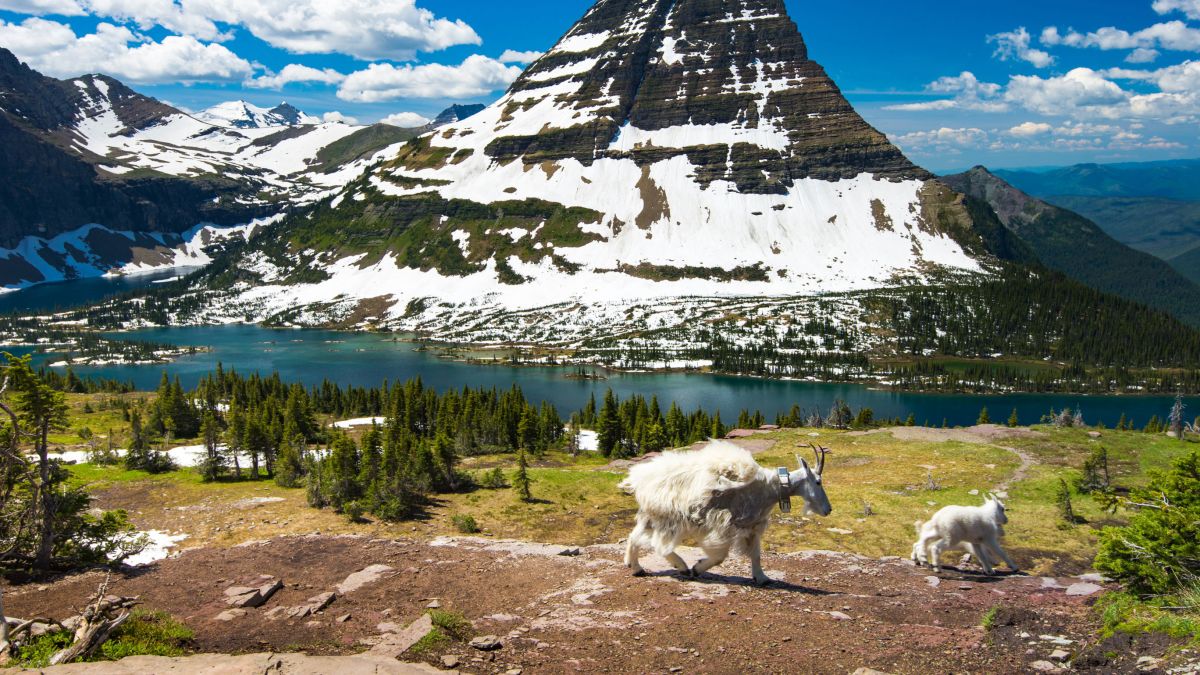 Glacier National Park is replacing signs that predicted its
