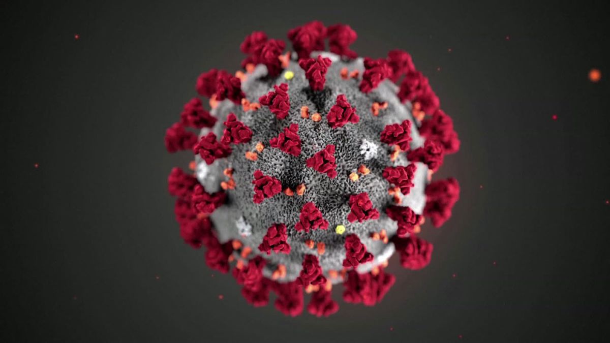 Coronavirus deaths in the US could reach peak in three weeks ...