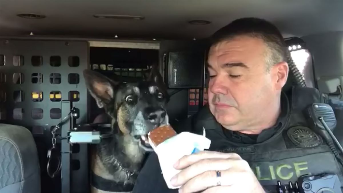 K-9 Officer Bruno Retires From Service 