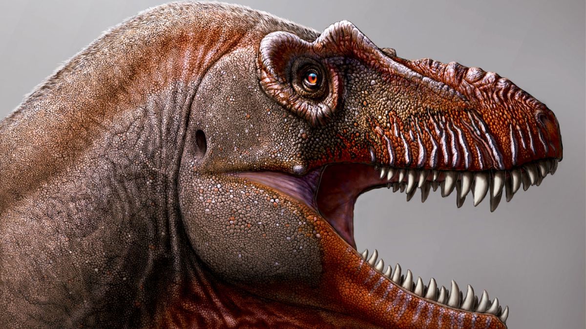 Dinosaurs: New research finds T.rex had lips - BBC Newsround