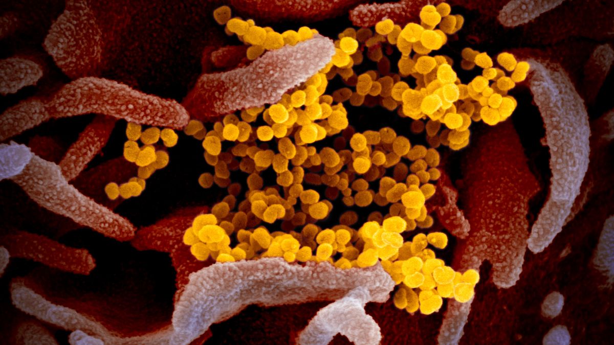 Moderna Coronavirus Vaccine First Phase 3 Clinical Trial In The
