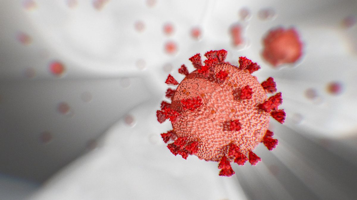 Image Of Coronavirus 19