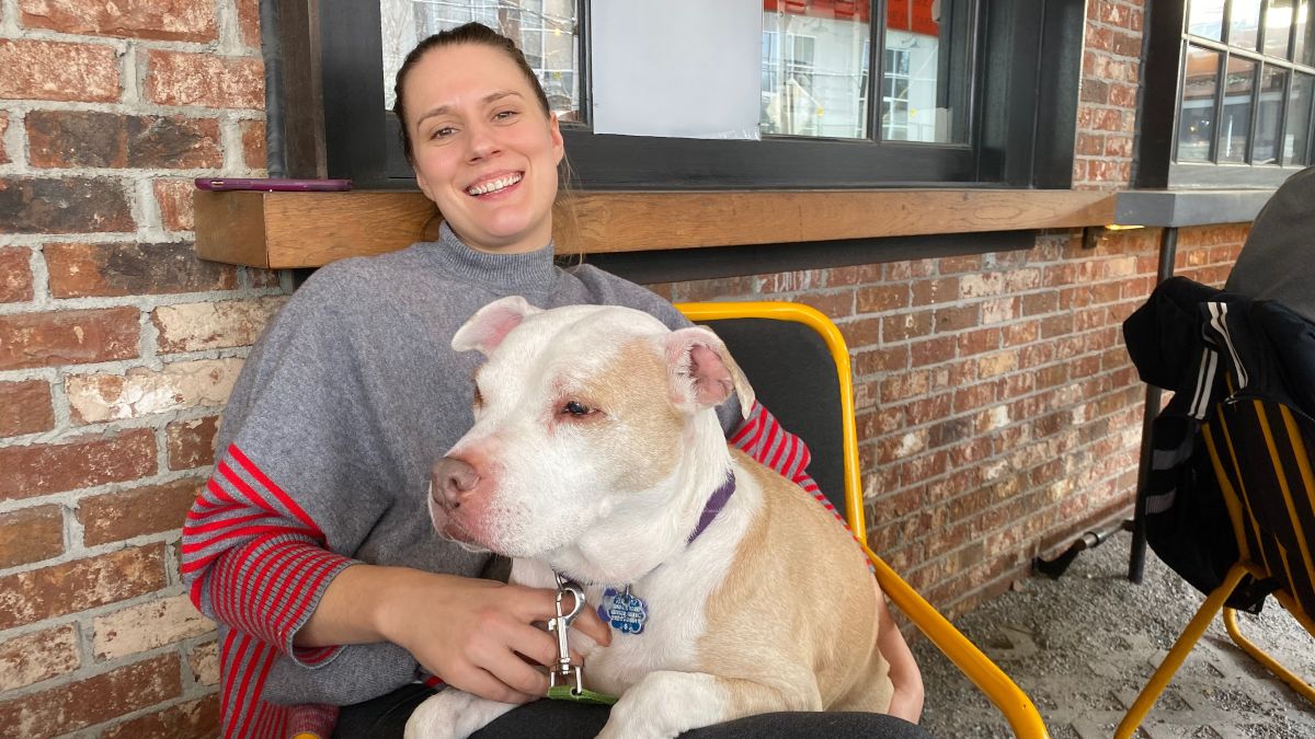 Senior Foster Dogs Non Profit Helps Cover The Costs Cnn
