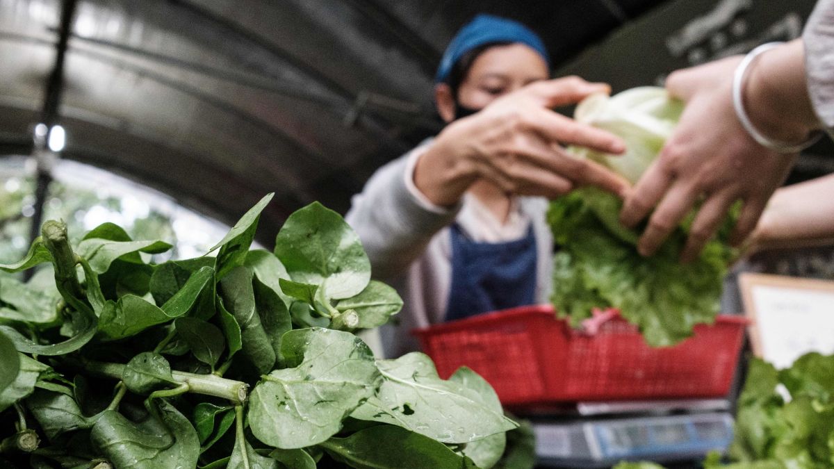 Market Crush: Vegetables in Venice