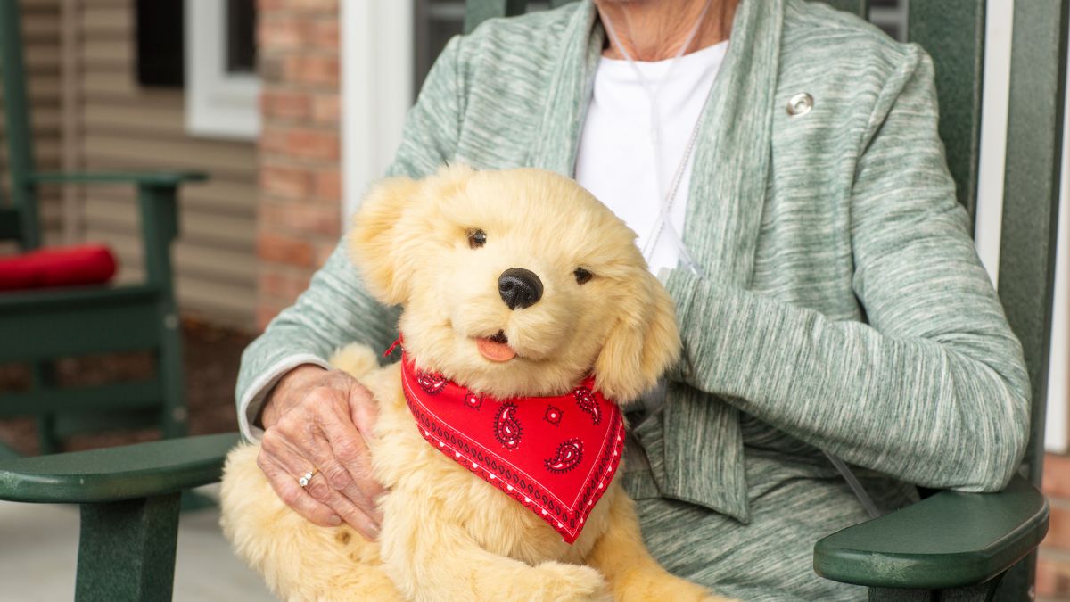 dementia toy dogs