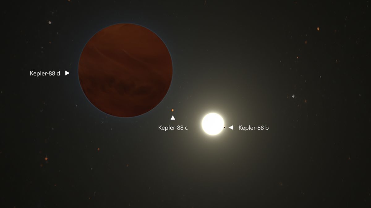 Kepler S Xxx Video - This massive exoplanet is the 'king' of its solar system | CNN