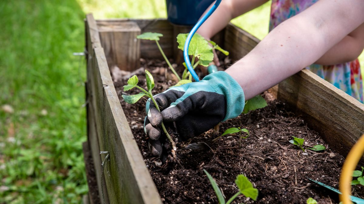 Your Go-To Guide for Gardening With Children - Gardener's Path