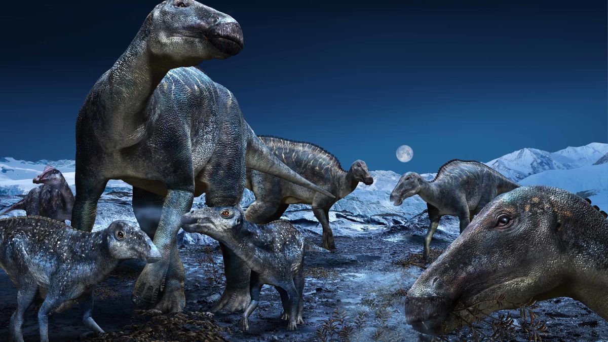 Dinosaurs Lived--and Made Little Dinos--in the Arctic