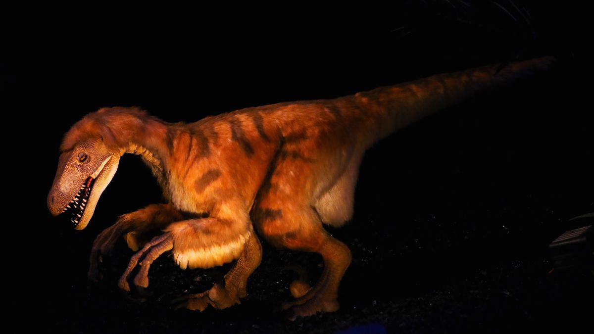 Deinonychus - The Raptor that Changed our View of Dinosaurs - What Was Lost  Ep.3 