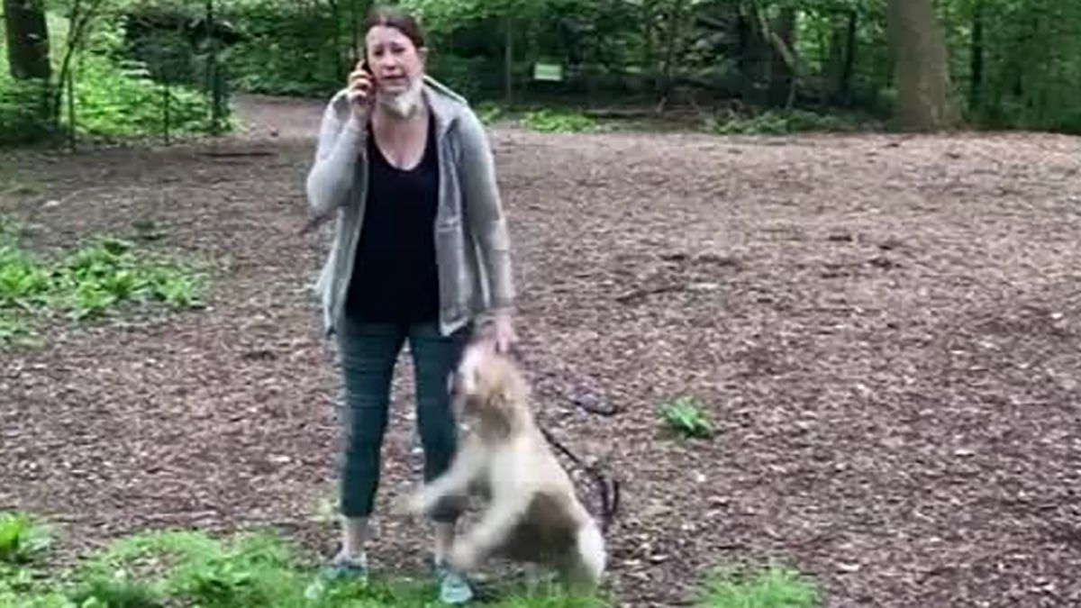 Amy Cooper White woman who called police on a black man in Central Park has been fired picture