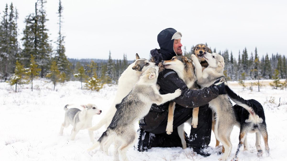 Iditarod: Historic plane to transport Thomas Waerner home to Norway after  dog musher left stranded for months in Alaska