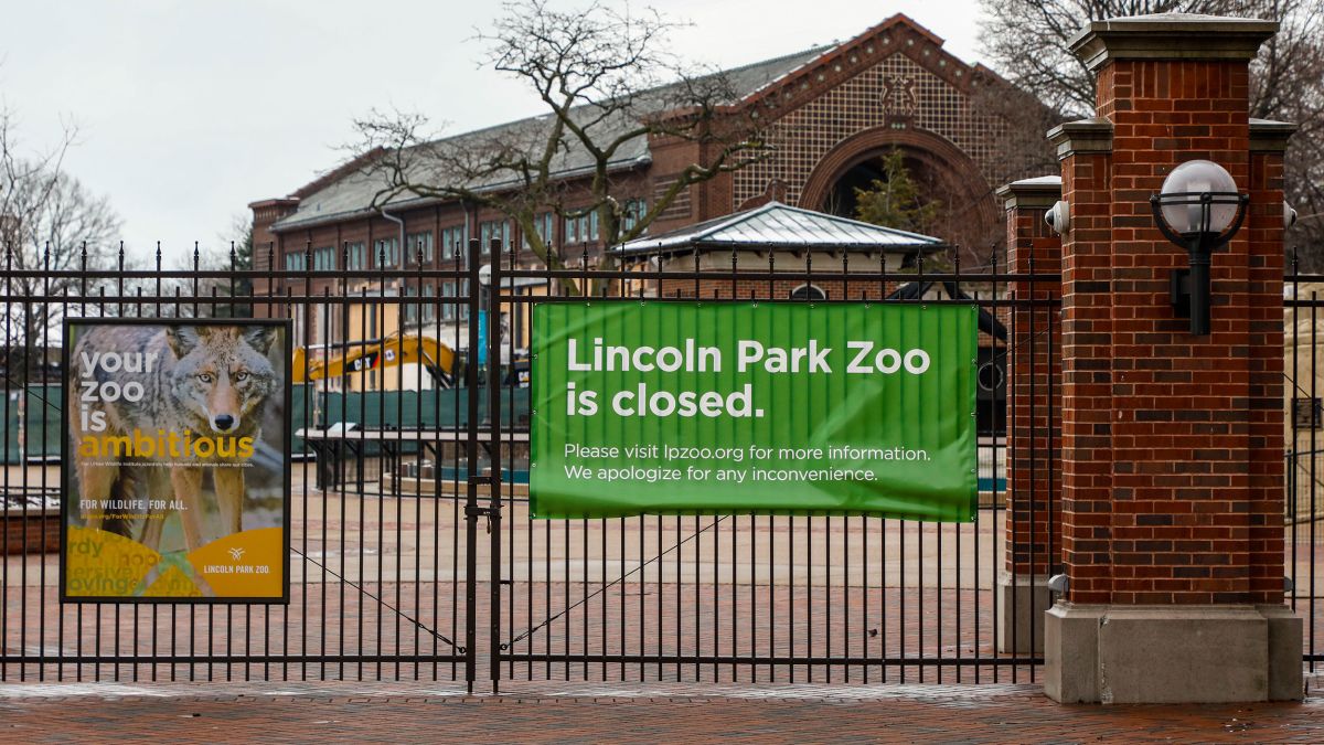 Lincoln Park Zoo: Chicago zoo says no animals escaped | CNN