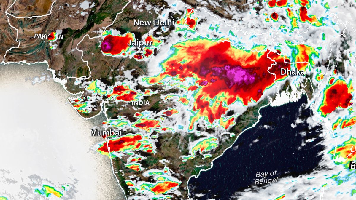 India lightning strikes lead to 83 deaths in Bihar state - CNN