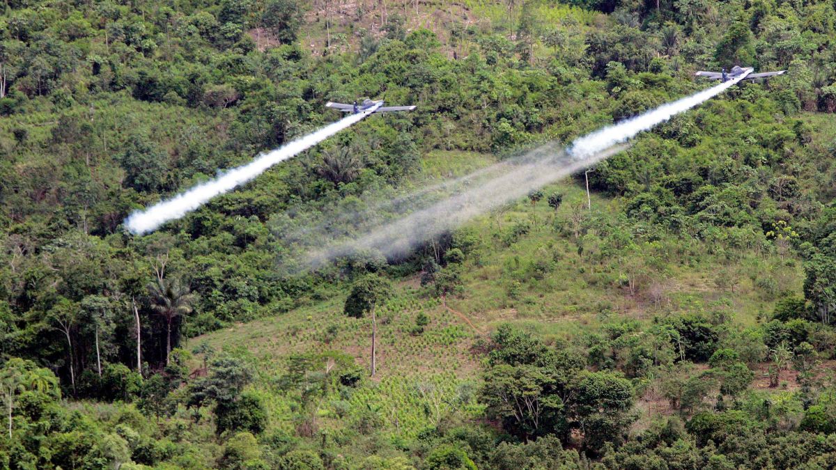 Colombia wants to resume spraying a toxic chemical to fight cocaine. Critics say it's too risky - CNN