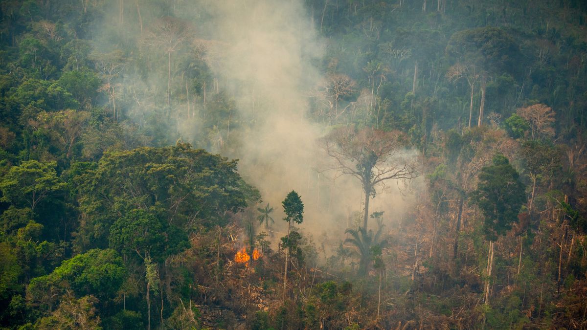 Unchecked Fires Could Turn The Amazon Into A Savannah Cnn