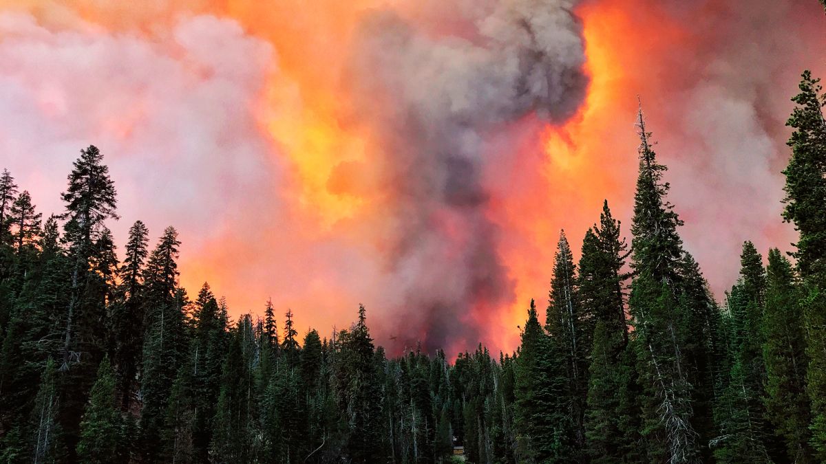 Creek Fire California S Largest Wildfire Spawned Two Massive Fire Tornadoes Cnn