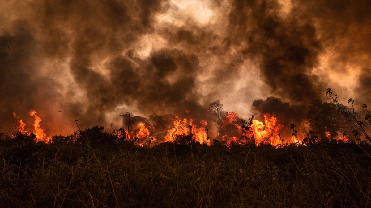 The World S Largest Wetlands Burned Down This Year That S A Disaster For All Of Us Cnn