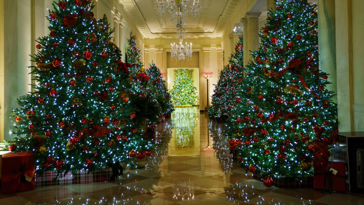 Melania Trump\'s White House Christmas decorations spotlights ...