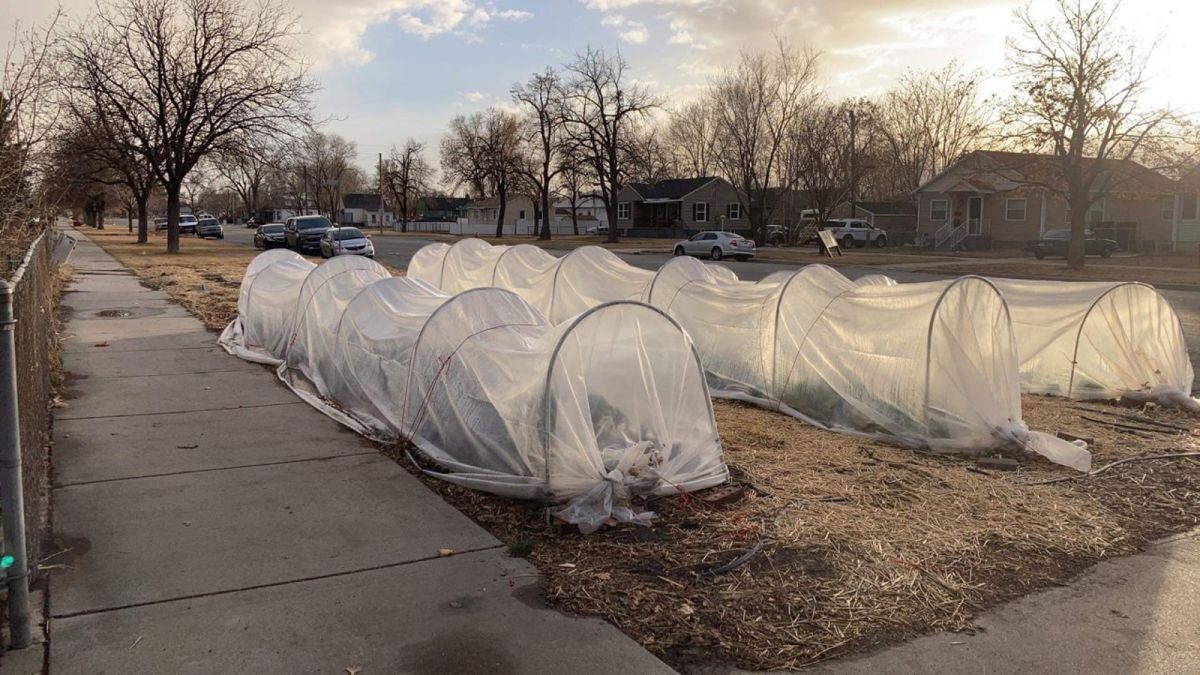 This Man Has Invited Homeless People To Live In His Front Yard Cnn