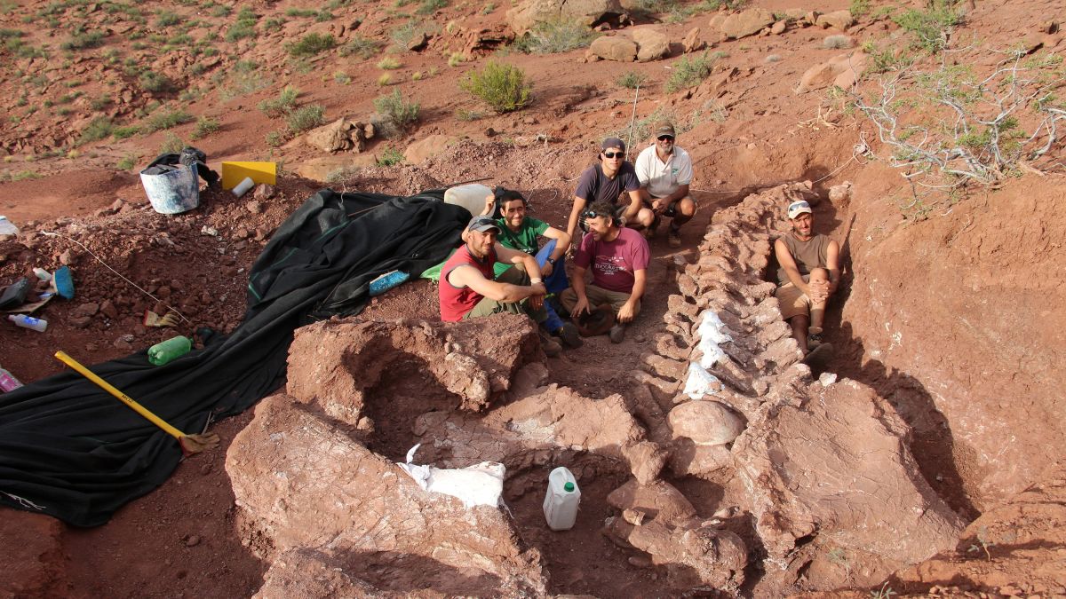 Fossils of huge Ninjatitan dinosaur that lived 140 million years ago found  in Argentina | CNN