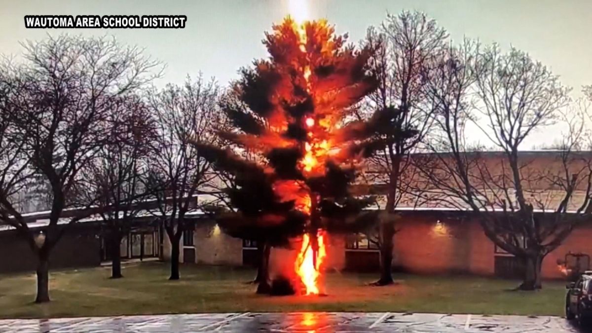 Video shows lightning shatter a tree outside of a Wisconsin high school |  CNN