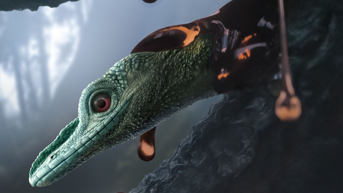 World S Smallest Dinosaur Is Actually A Weird Prehistoric Lizard Scientists Say Cnn