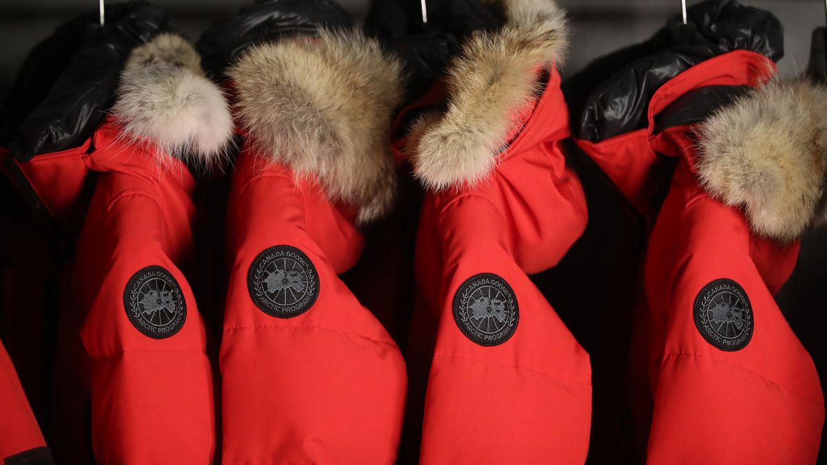 canada goose new fur