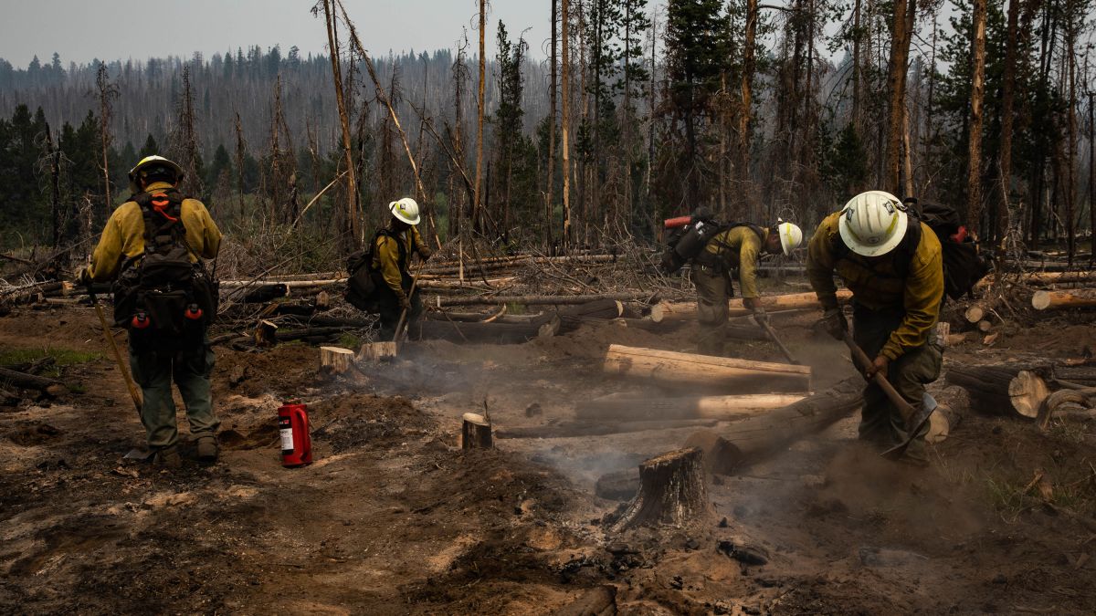 Carbon Canyon blaze 100 percent contained – Orange County Register