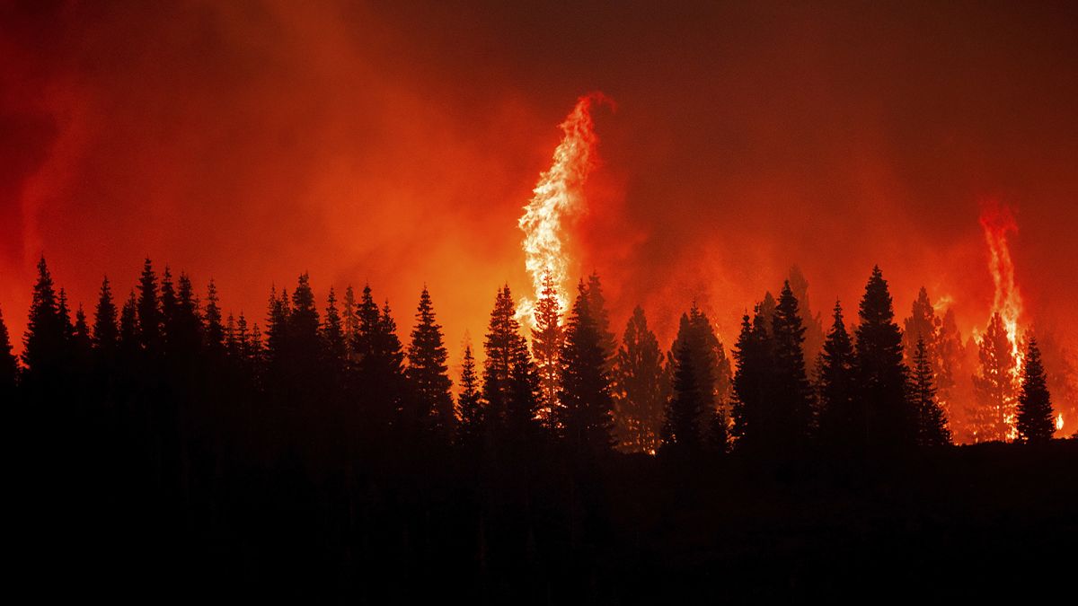 Why Climate Change Makes It Harder to Fight Fire With Fire - The New York  Times