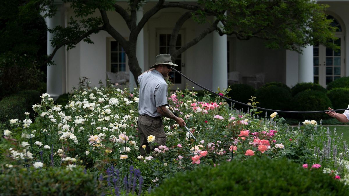 The most political garden in America is still sowing controversy one year  later