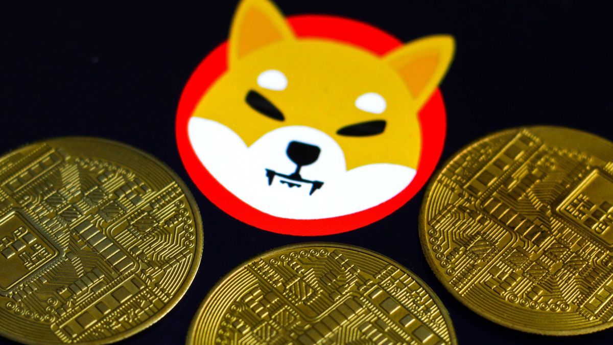 Where to buy shiba inu coin