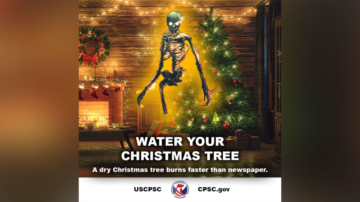 14+ Best Water For Christmas Tree 2021