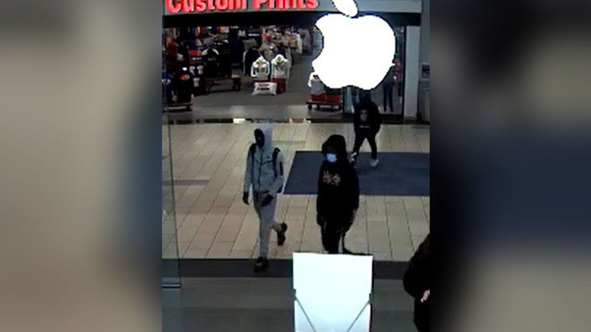 Jewelry store robber shot at Oakbrook Center, 2 sought