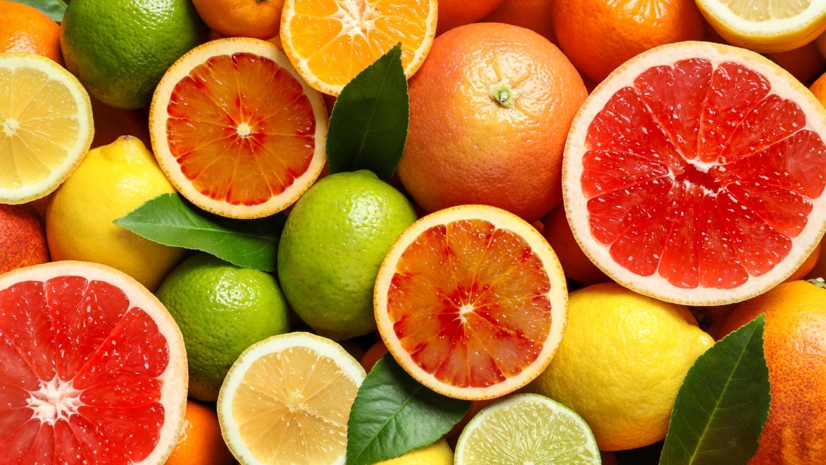 CITRUS FRUITS P.C CNN