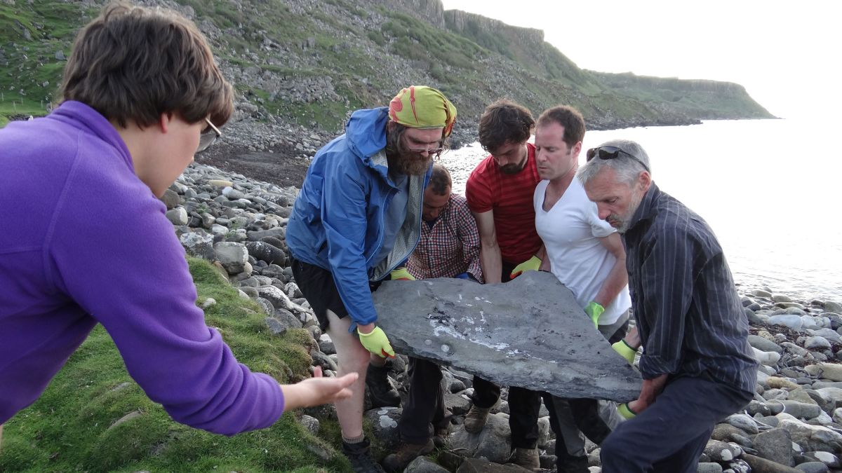 Fossil of giant flying reptile discovered on Scottish island | CNN