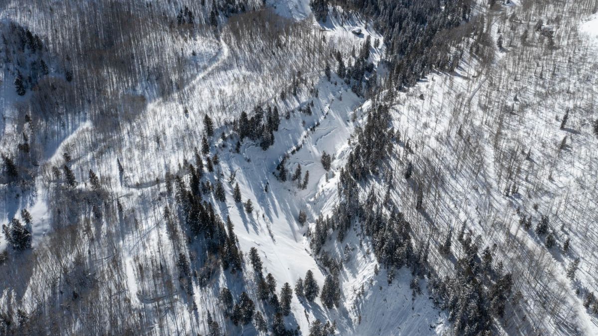 Marble, Colorado avalanche kills one person and two dogs - CNN