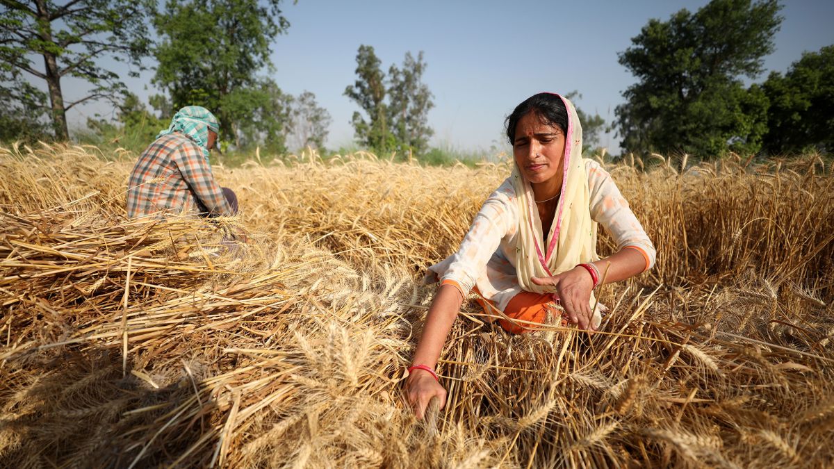 cnn.com - By Diksha Madhok, CNN Business  - India offered to help fix the global food crisis. Here's why it backtracked