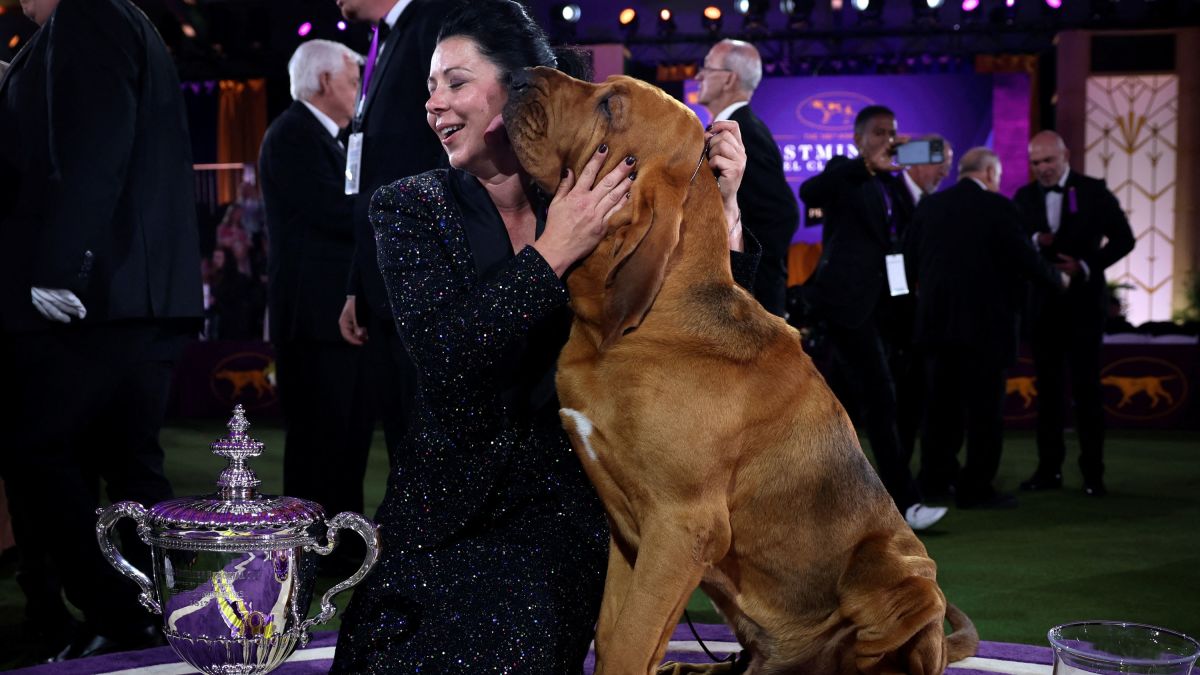 Trumpet, a bloodhound, wins Best in Show at the Westminster Dog Show | CNN