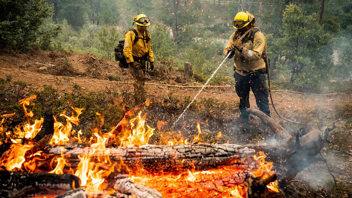 Scenes From California's Fast-Moving Oak Fire - The Atlantic