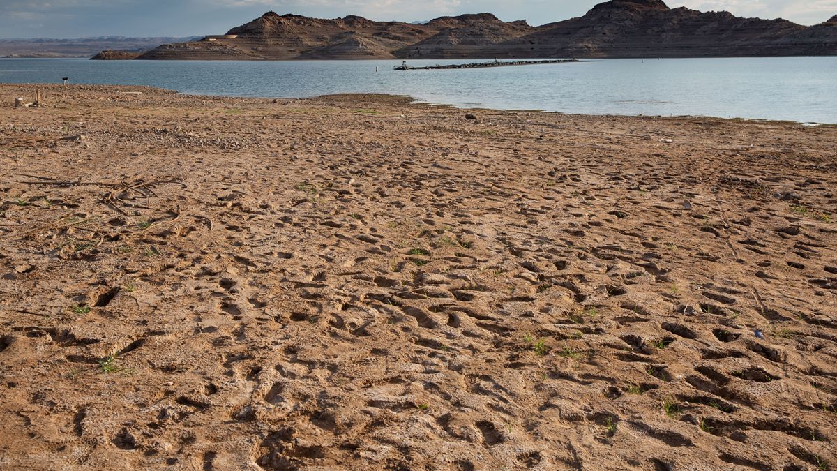 An 'extreme heat belt' will impact over 100 million Americans in the next  30 years, study finds