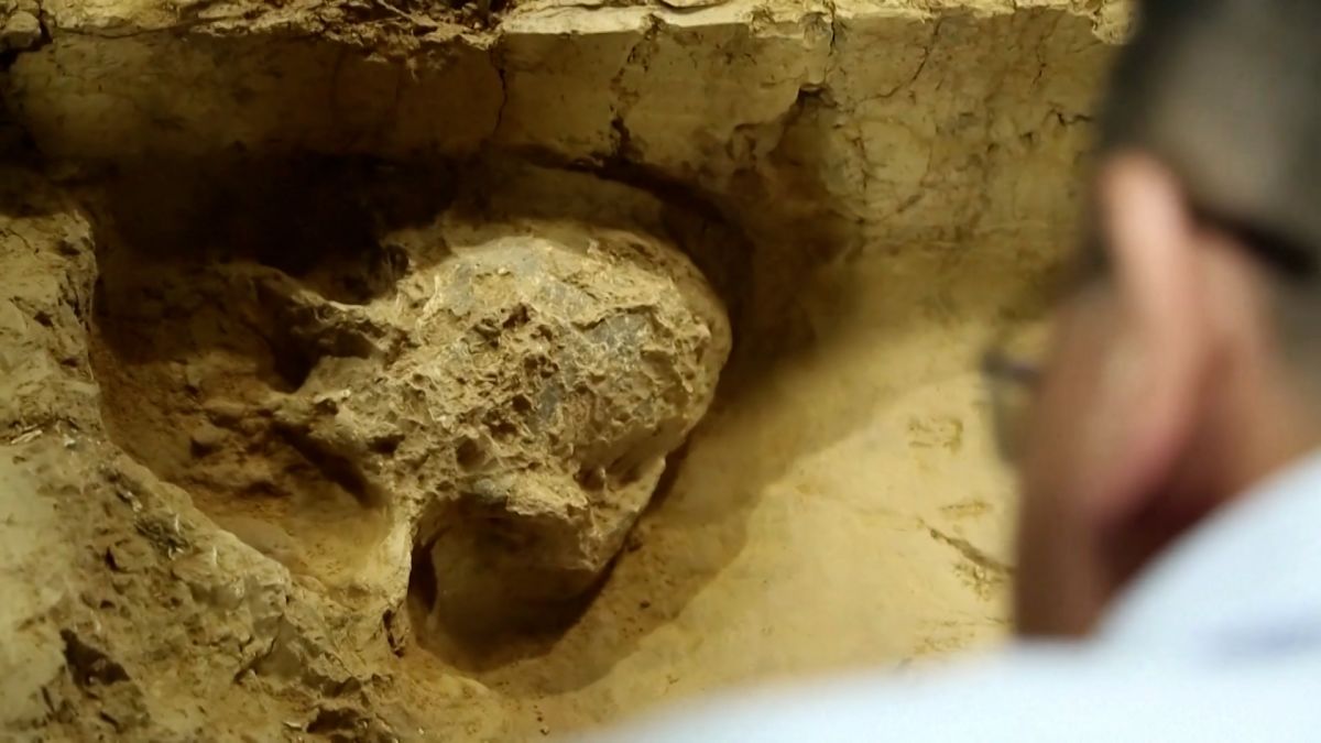 Ancient skull uncovered in China could be million-year-old Homo