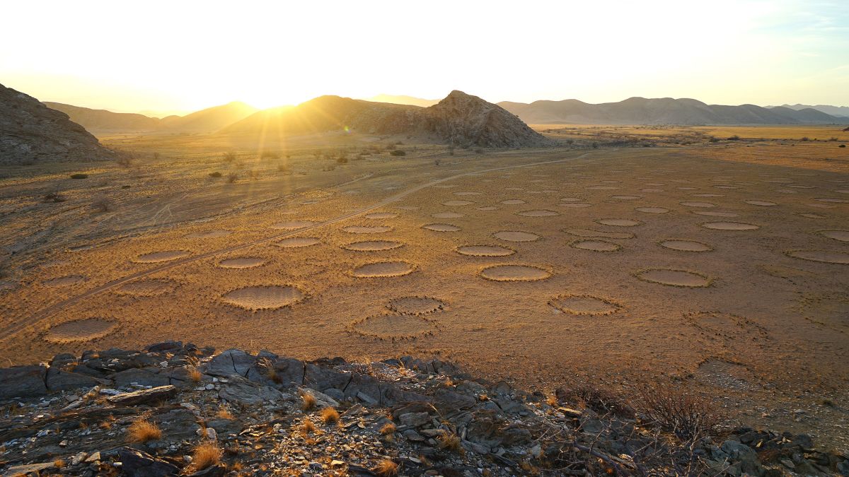 Mysterious 'fairy circles' in Namib Desert has scientific answer | CNN