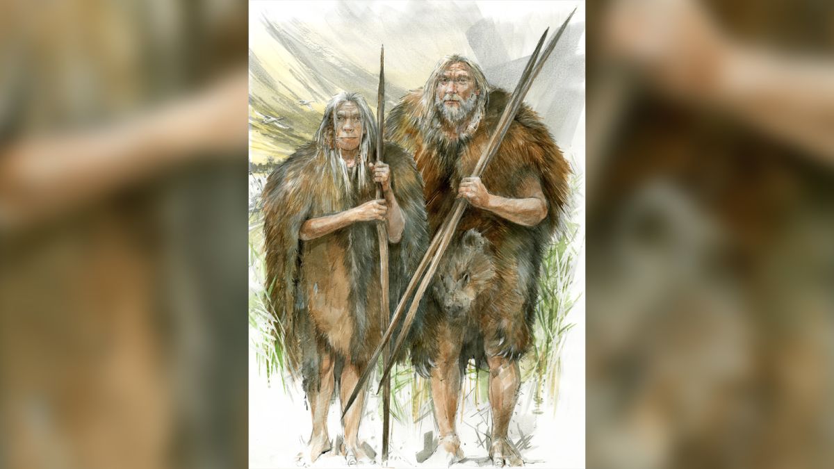 Stone Age humans stepped out in cave bear fur 300,000 years ago | CNN