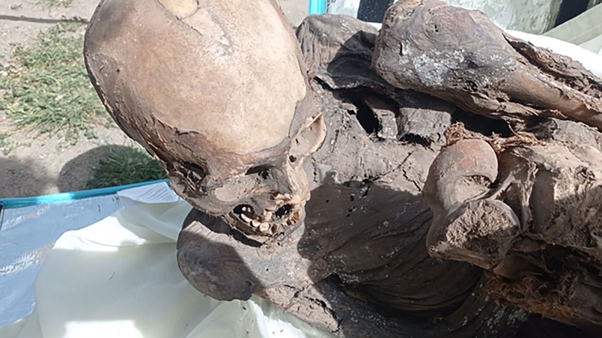 Peru: Mummy found in man's food delivery bag in Peru | CNN