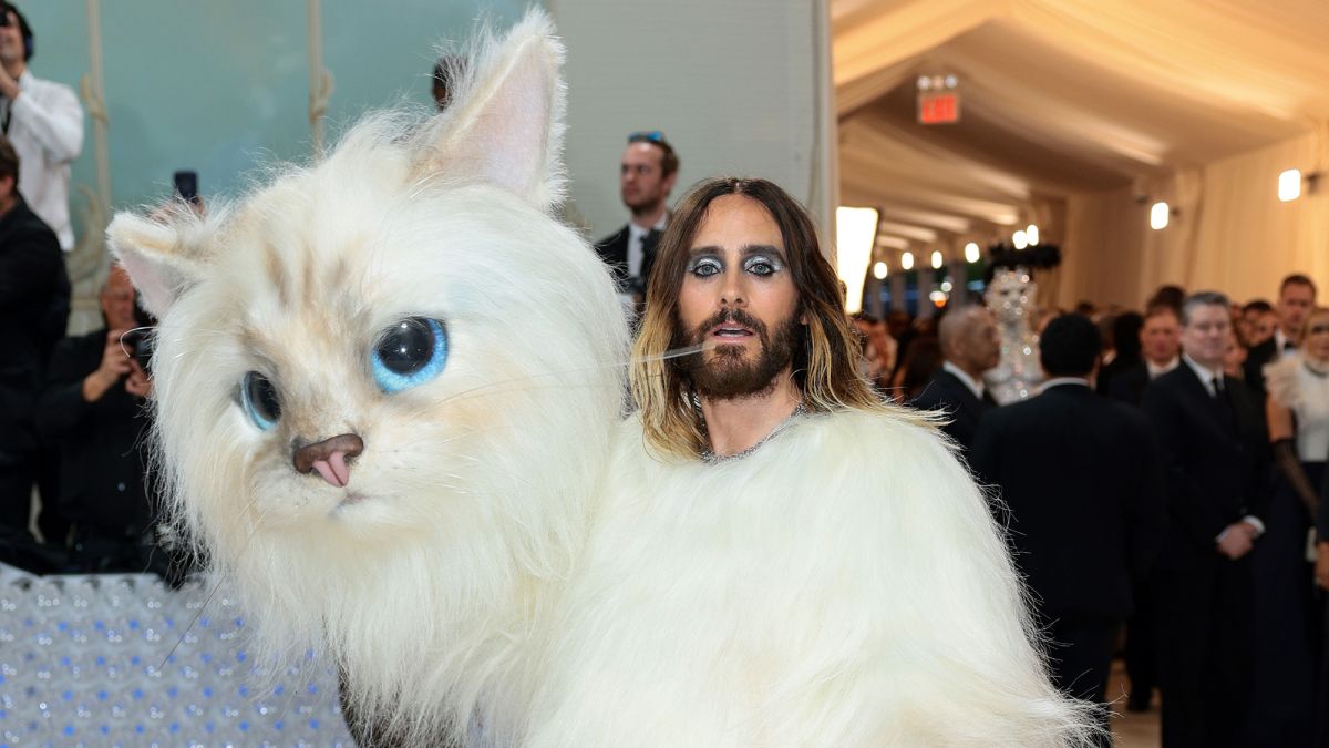 Met Gala 2023: mira quién era el impresionante gato y cómo lució