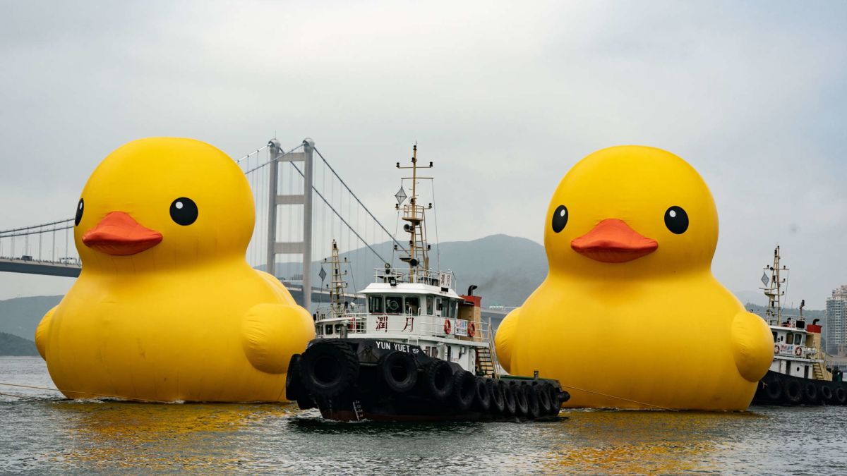Por qué estos patos de goma gigantes regresan a Hong Kong luego de una  década? - CNN Video